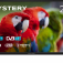 Mystery MTV-2450HT2 TV