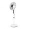 Fan Mystery MSF-2461